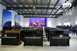 熱烈慶?？_德鋼琴經銷商考察交流會在上海成功舉行 技術服務賦能行業未來